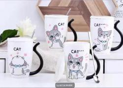 Ly sứ cat